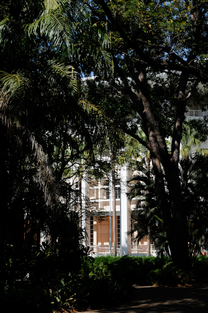 Darwin - Parlamentsgebäude durch Bäume