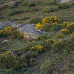 Impressionen